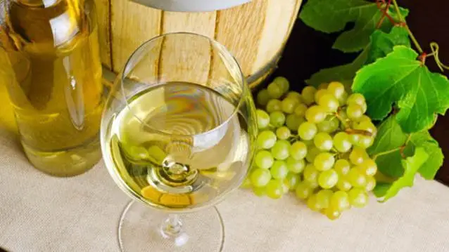 Via libera al contrassegno di Stato per la Doc Verdicchio Castelli di Jesi