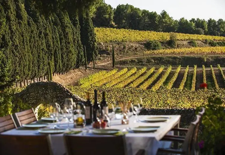 Vacanze: il 63% dei turisti italiani cerca mete enogastronomiche