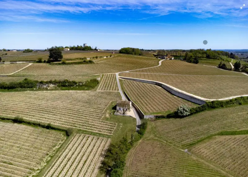 Francia annuncia un fondo di emergenza da 80 milioni per i viticoltori in difficolt&agrave;