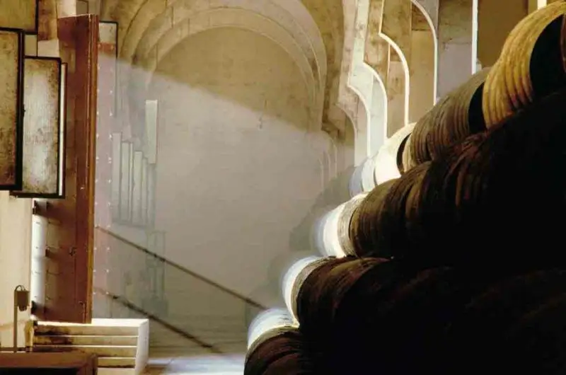 Cambiano le regole della DO Jerez-X&eacute;r&egrave;s-Sherry: ecco tutte le novit&agrave;