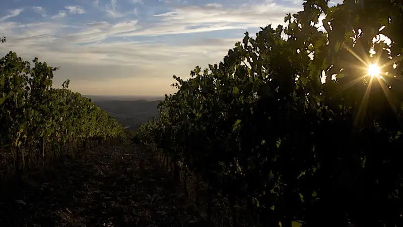 Strada, compie 25 anni l'associazione del territorio di Montepulciano