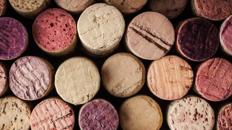 Assistenza per gli operatori vitivinicoli