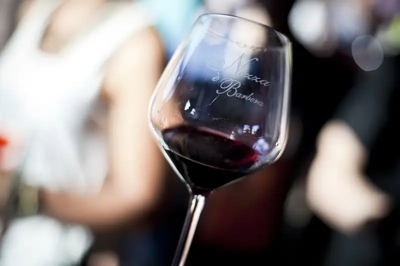 Barbera d'Asti e Vini del Monferrato: progetto genetico per affrontare le sfide del clima