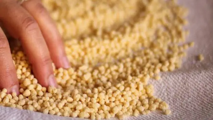 Oristano e la 'fregula' di Allai