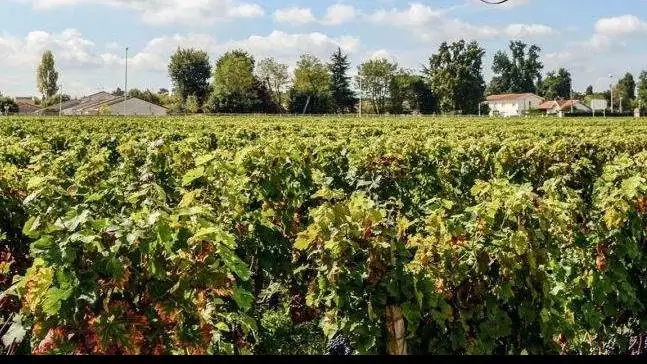 Rinviata a gennaio la valutazione della legislazione secondaria Pac