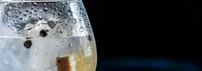 Per il Gin crescita del 10% in Italia nei prossimi tre anni