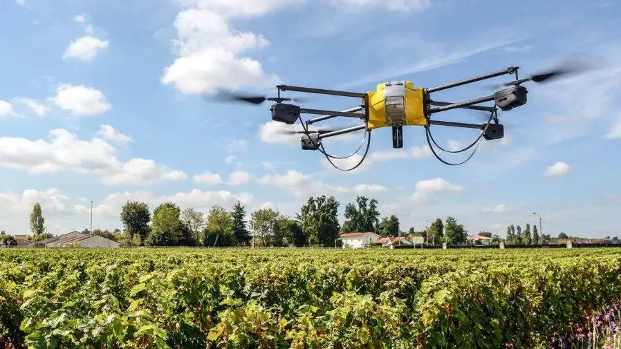 Wine Australia project finds data-driven irrigated vines outperform conventional practices