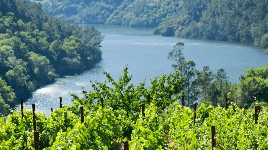 Onav, al via i nuovi incontri &ldquo;Eroi delle Montagne&rdquo;