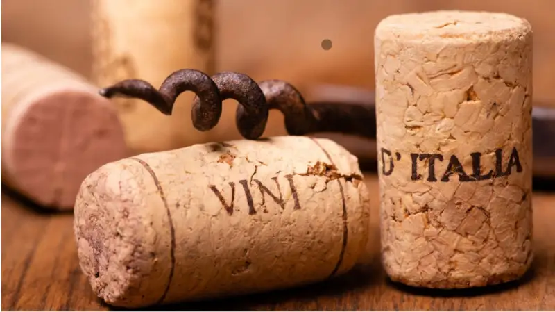 OCM vino