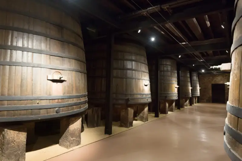 Botti vino