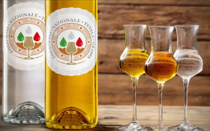 Riconoscimento ufficiale per il Consorzio nazionale Grappa