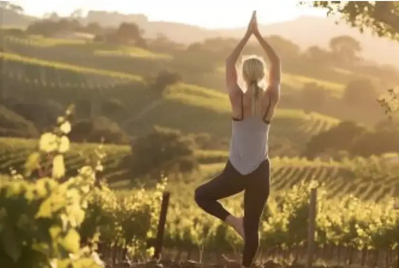 Torna Vigneti Aperti, il calendario di appuntamenti di enoturismo