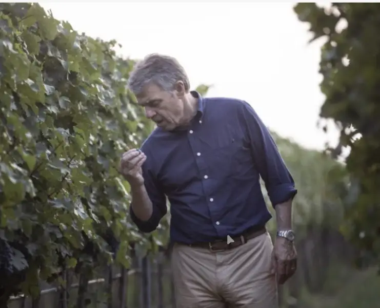A Renzo Cotarella il &ldquo;Winemakers&rsquo; Winemaker Award&rdquo; 2026 dell&rsquo;Institute of Masters of Wine