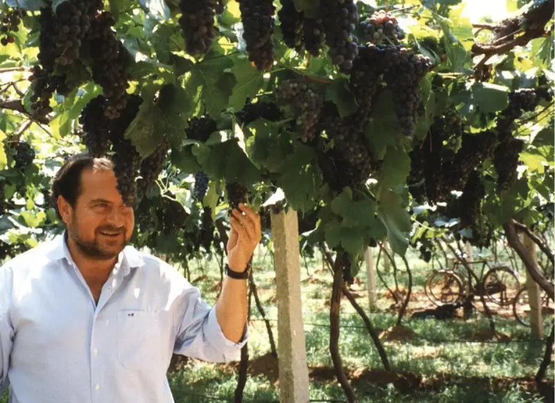 Addio a Michel Rolland, rockstar dell&rsquo;enologia