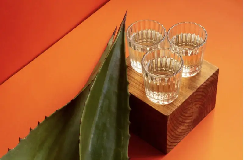 Aumenta il consumo di tequila in Italia (+25,6% nel semestre)