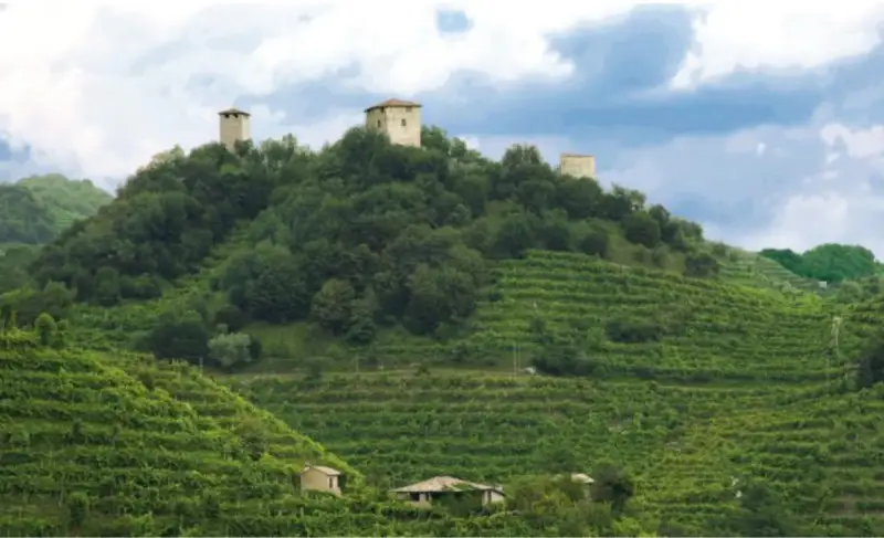 Ismea, dal Pnrr effetto leva da 600 milioni per il settore vino