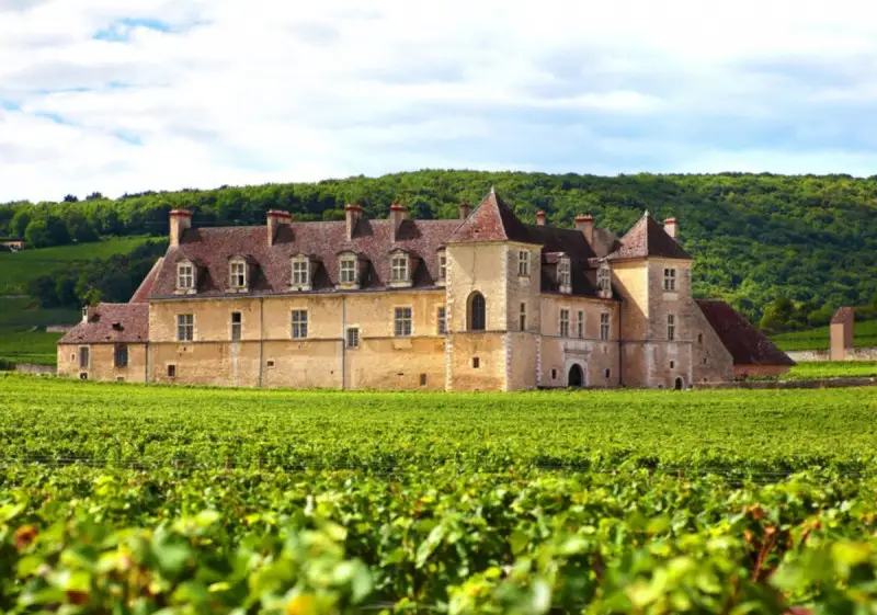 A Bordeaux la vendemmia pi&ugrave; scarsa dal 1991