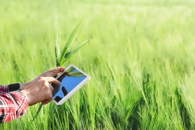 Riforma della Pac: ecco il vademecum in 11 punti degli agronomi italiani