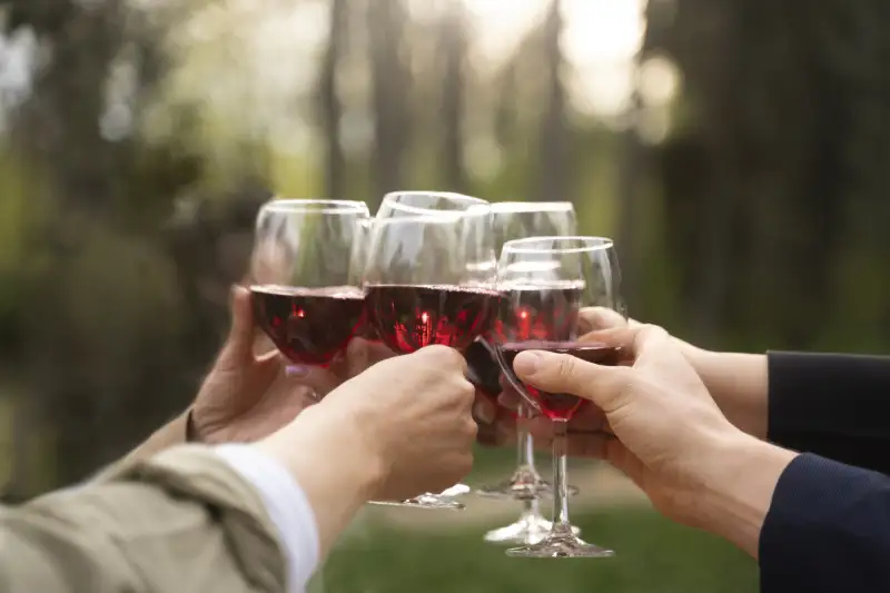 Germania, nuova tassa sulle bevande zuccherate. Esclusi i vini analcolici