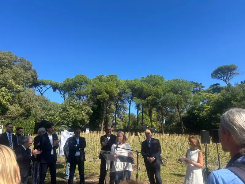 Roma riscopre la sua vocazione vitivinicola: inaugurato il vigneto di San Sisto