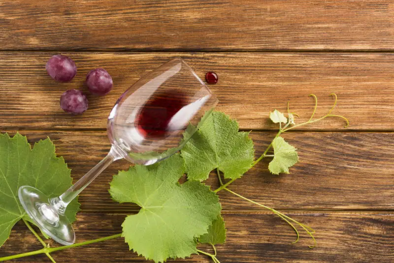 Il Regno Unito approva cinque vini argentini come &ldquo;termini tradizionali&rdquo;