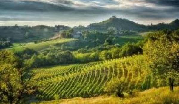 DOC Monti Lessini, DOCG Gavi e DOCG Cinque Terre verso la modifica del disciplinare