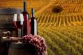 Vino italiano nel mondo: i dati Nomisma-Wine Monitor per il 2022