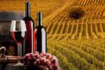 Dop e Igp: il vino archivia un 2021 di solida crescita