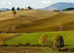 Agroalimentare, in crescita Pil, investimenti e consumi