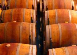 Cantina Italia, 53,6 milioni di ettolitri di vini e mosti in giacenza al 31 maggio 2021