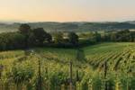 Prepotto, un angolo di paradiso tra le colline