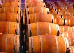 Cantina Italia, 49,3 milioni di ettolitri di vini e mosti in giacenza al 30 giugno 2021