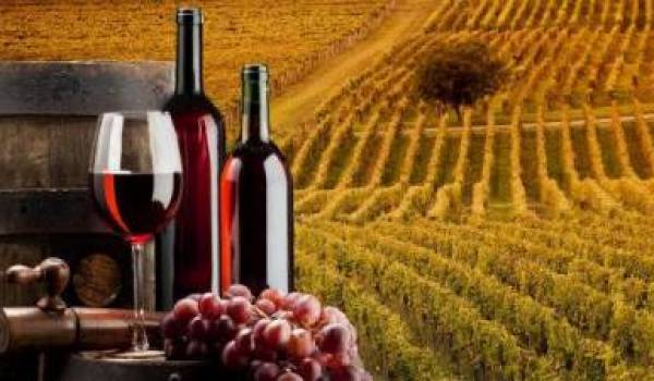 Nuove modifiche al DM sulle rese massime di uva per ettaro per i vini generici