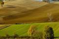Agroalimentare, si riduce il peso del bio nel 2022